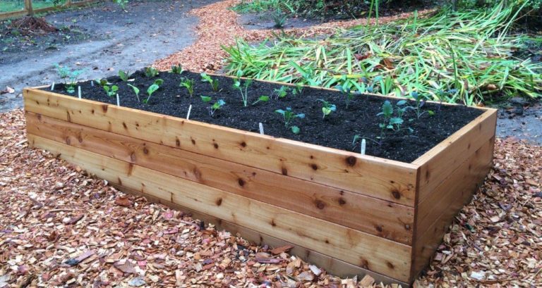 1x6x4 Residential Grade Western Red Cedar - Viking Fence