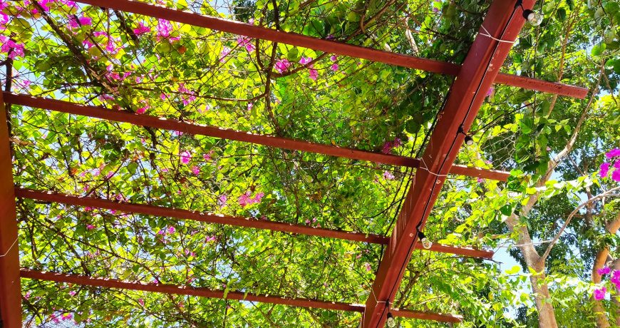 how to build a pergola kit